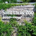 Saint Louis Zoo
