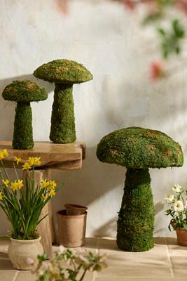 Preserved Moss Mushroom