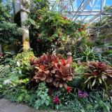 San Antonio Botanical Garden