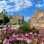 Historic Third Ward