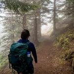 Poo Poo Point Trailhead