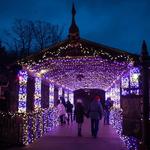 Columbus Zoo Wildlights