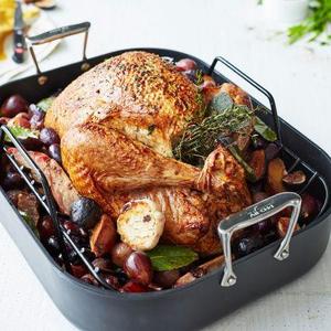 All-Clad HA1 Nonstick Roasting Pan with Rack, 16" x 13"