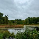 North Chagrin Nature Center