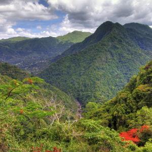 El Yunque National Rainforest Tour