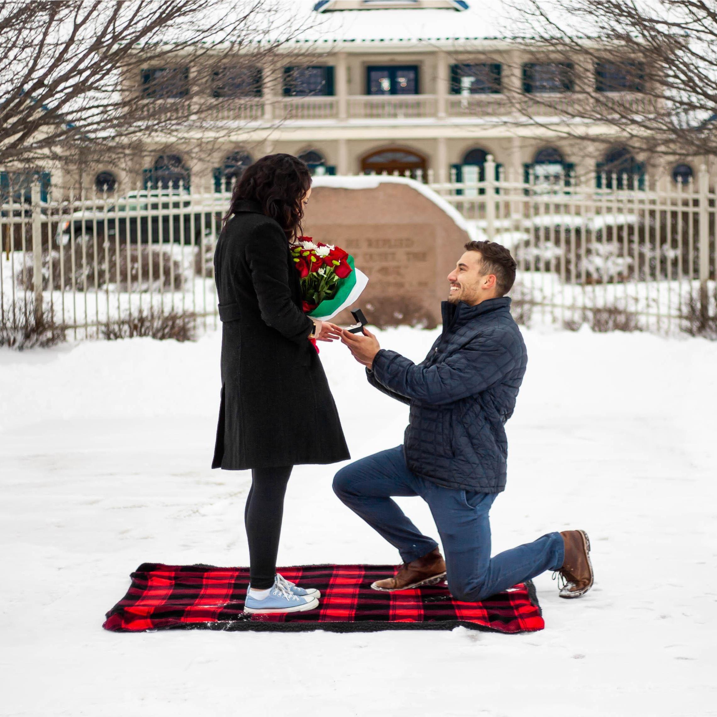 The Proposal
2/09/2021