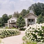 Pippin Hill Farm & Vineyards