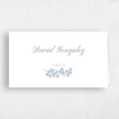 Blue Simple Wedding Place Card - Pino