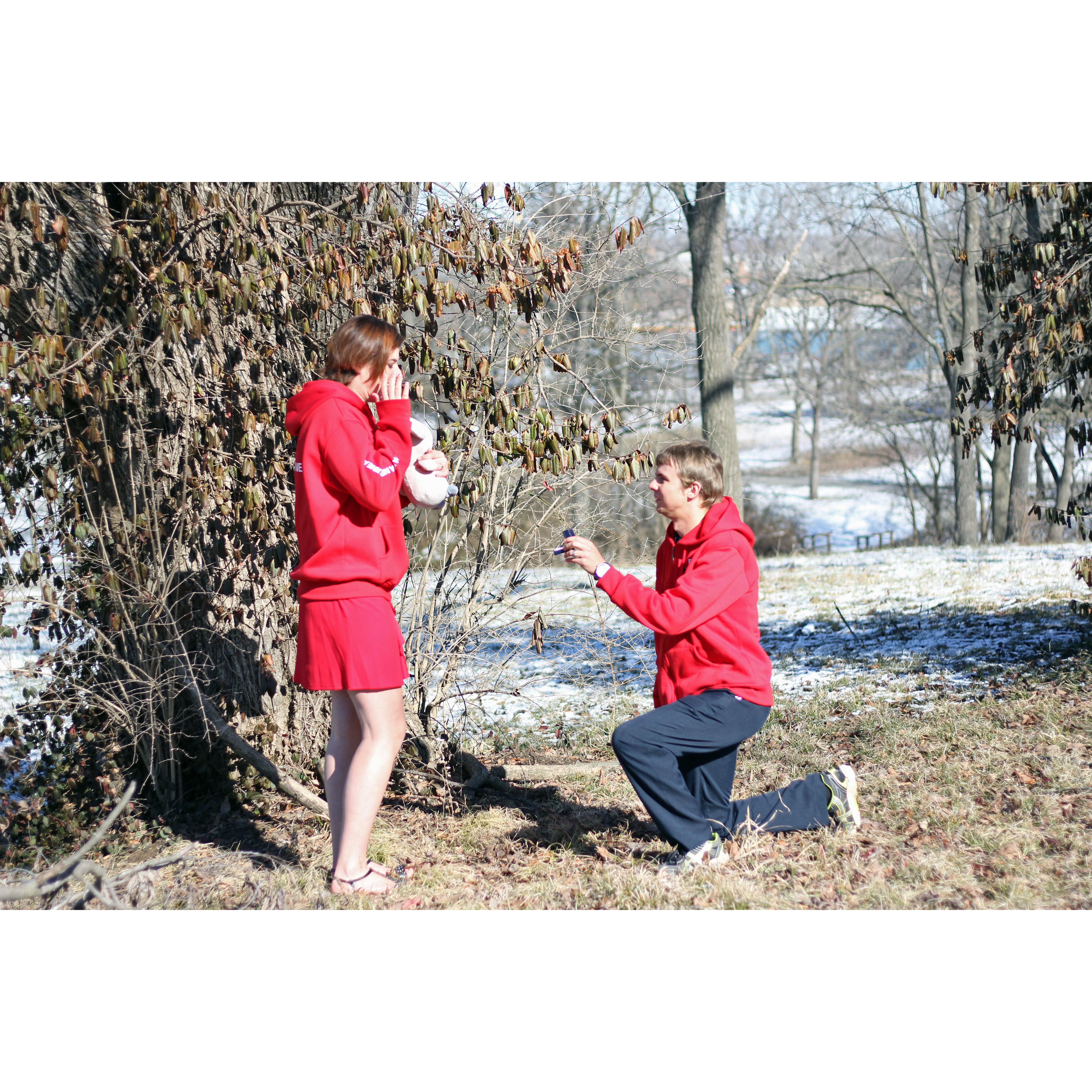 "Will you marry me"