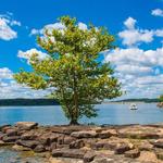 Cave Run Lake