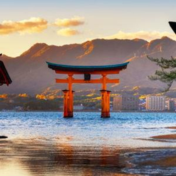 Honeymoon in Japan!