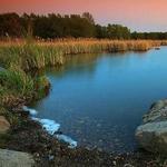 Guelph Lake Conservation Area