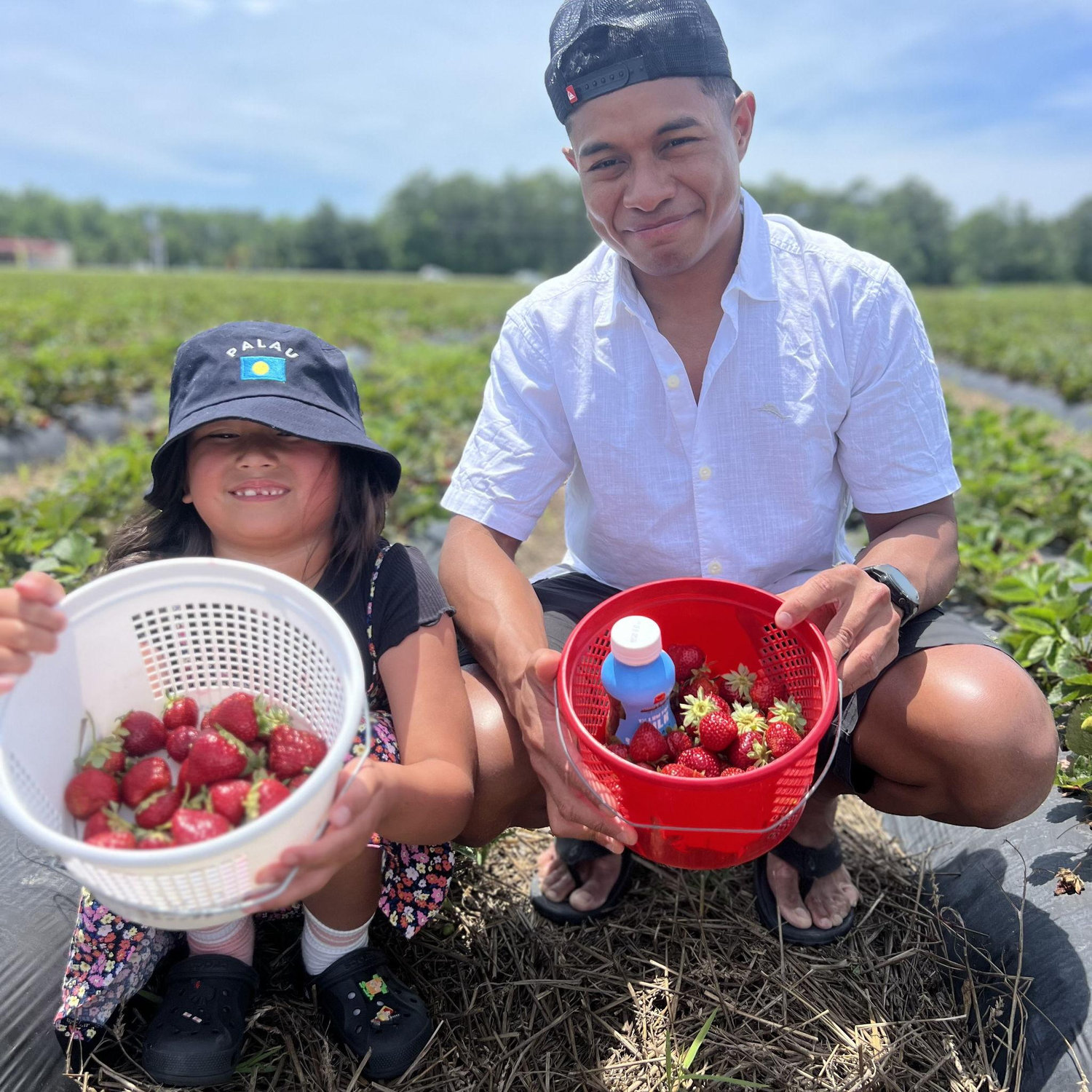 Strawberry picking contest.