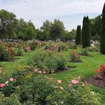 Julia Davis Park