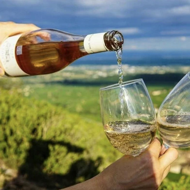 Honeymoon Wine Tasting in Albania