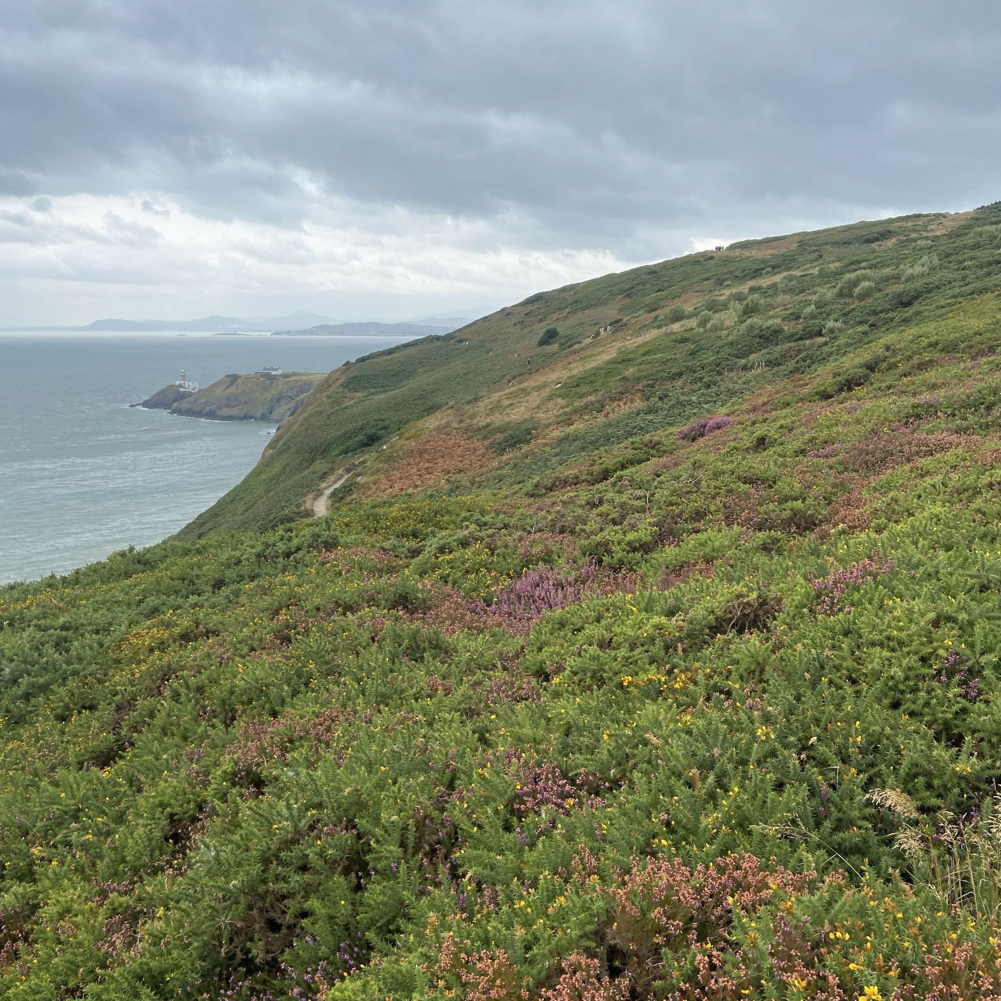 Howth Cliff Walk