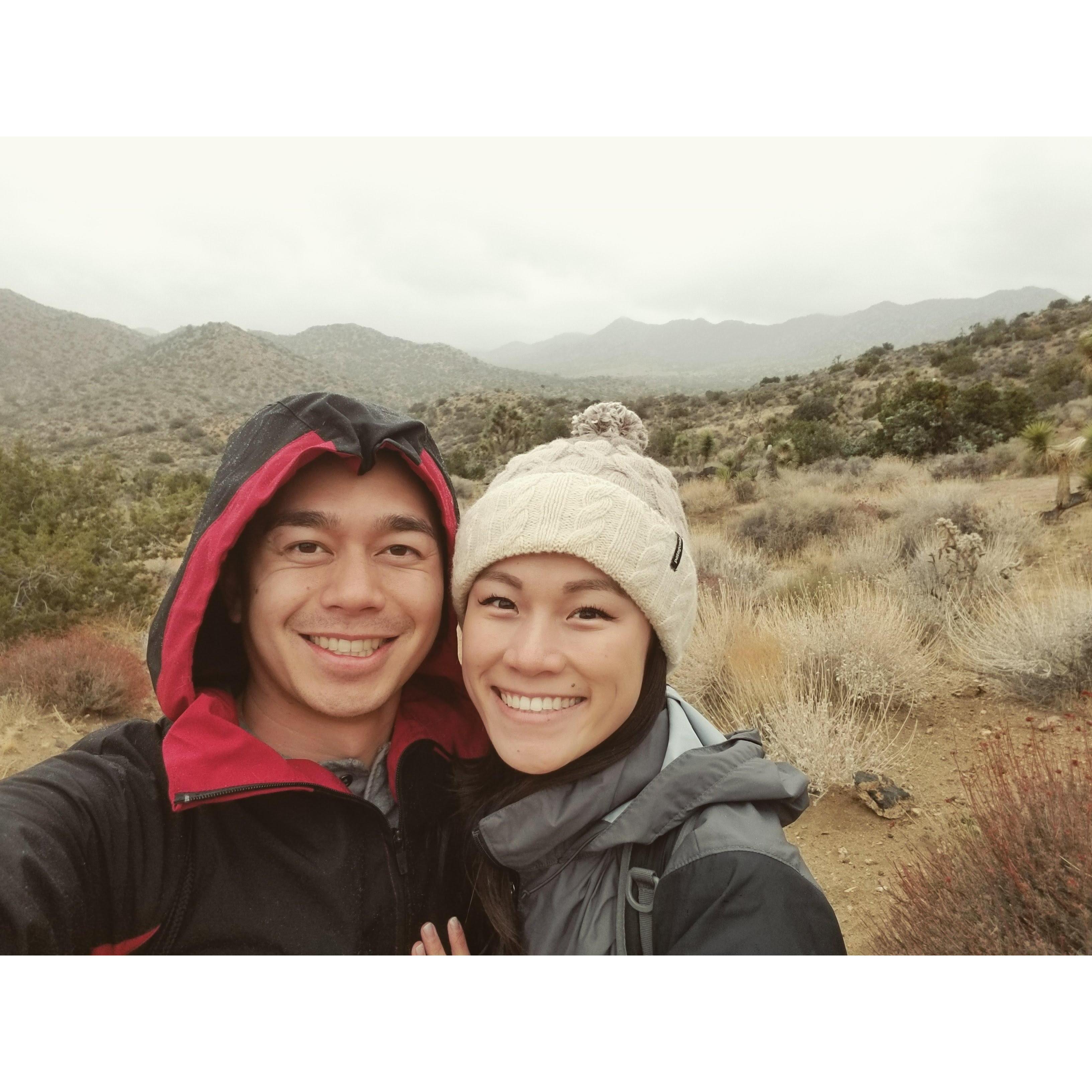 Joshua Tree, CA