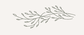 The Wedding Website of Emilia Mac Dermot and Dillon Duddy
