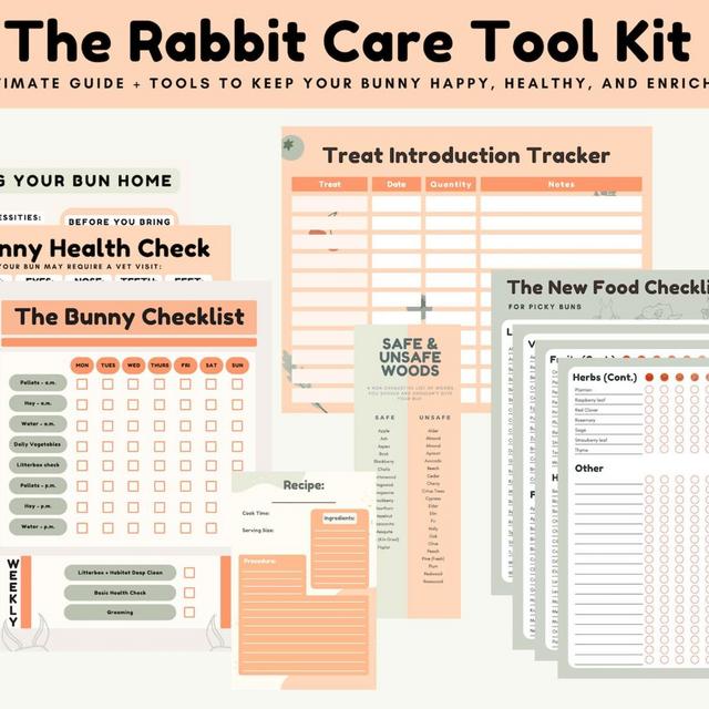 Rabbit Care Printable with Planner, New Bunny Owner Care Tips, Treat Tracker, and Health Checklist