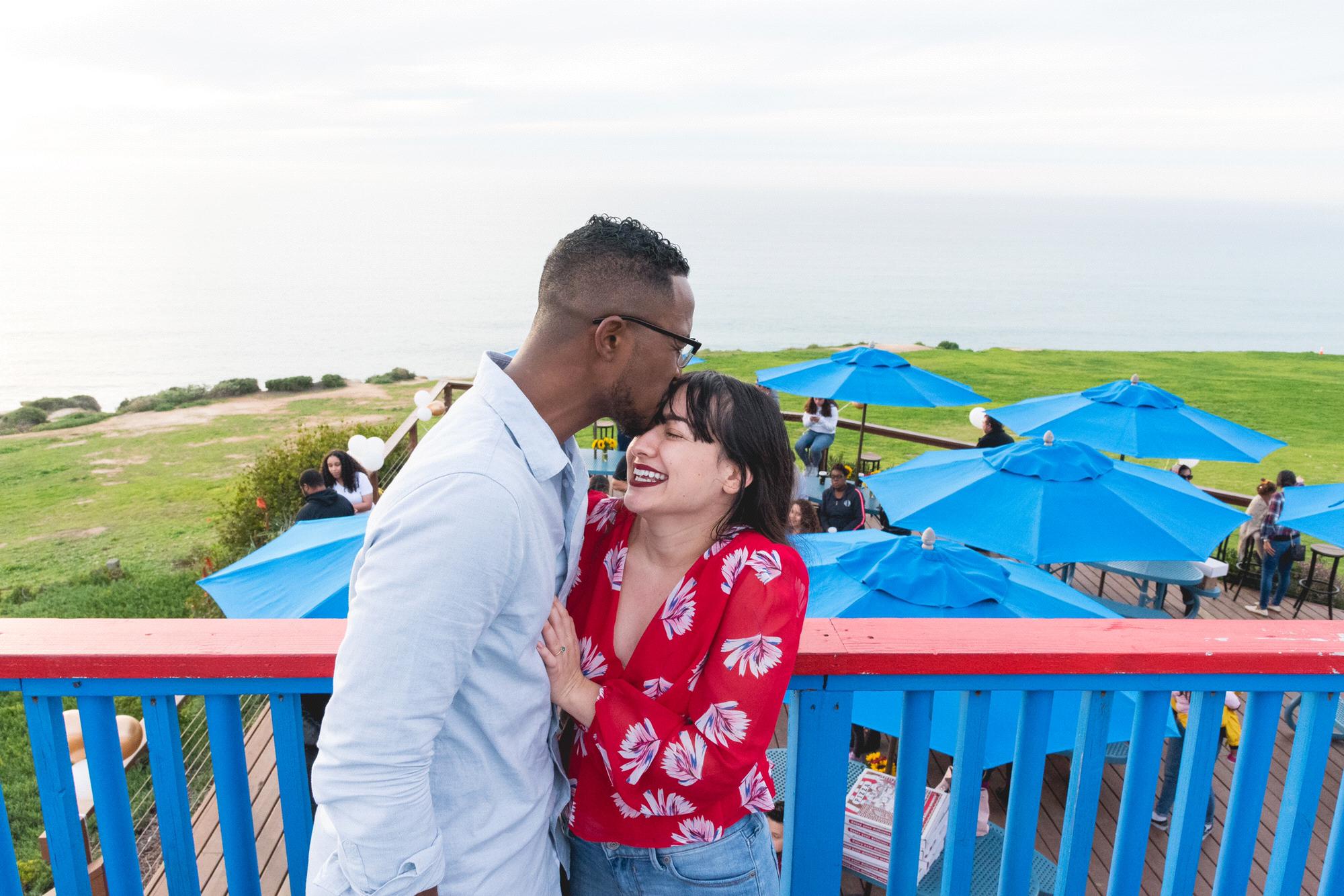 The proposal-Torrey Pines Gliderport