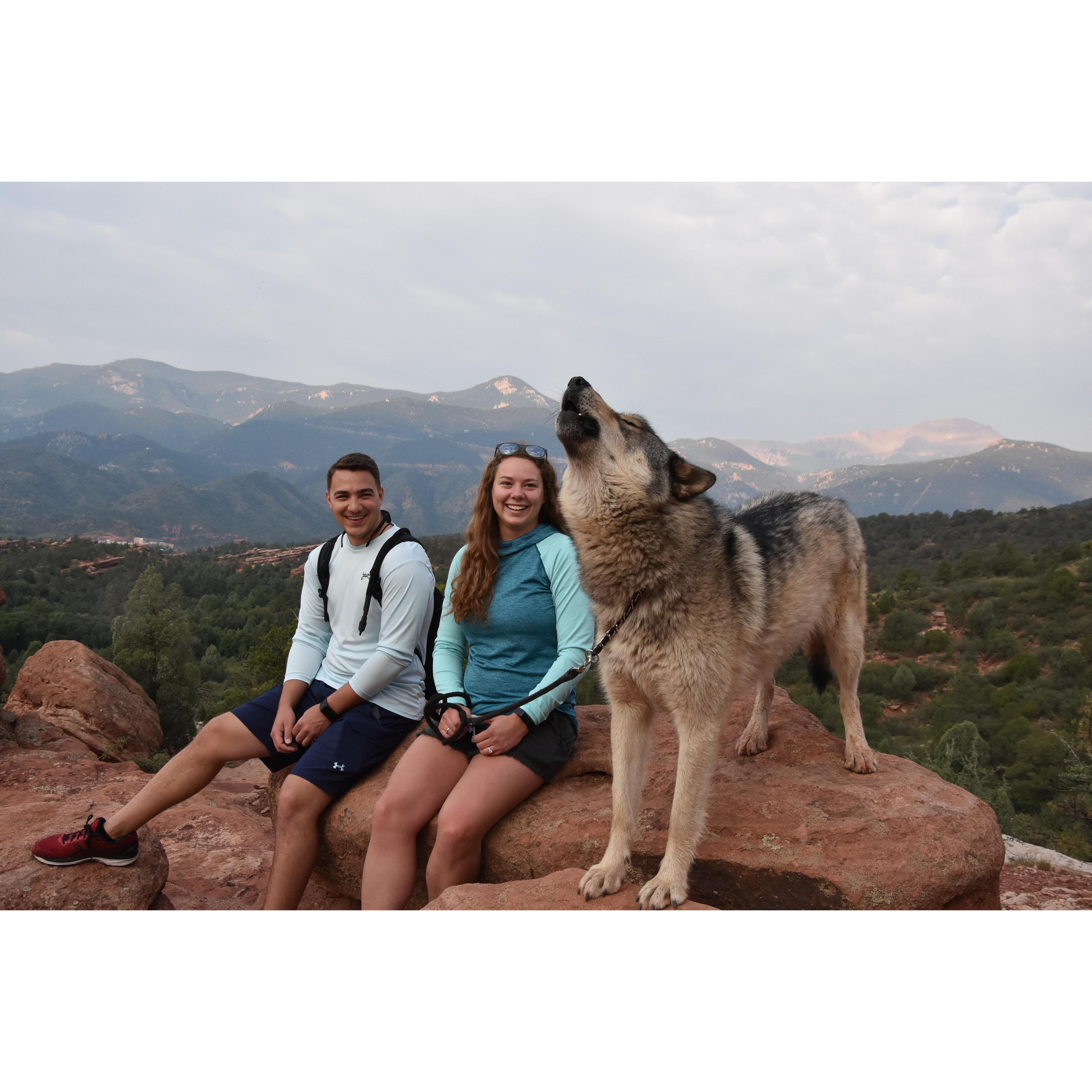 Walking a wolf in the Garden of the Gods