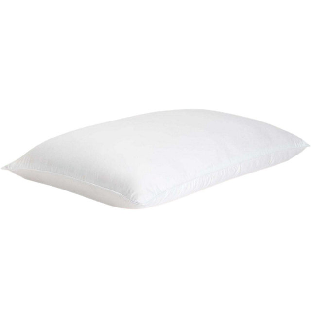 Cozy Earth Silk Pillow, King