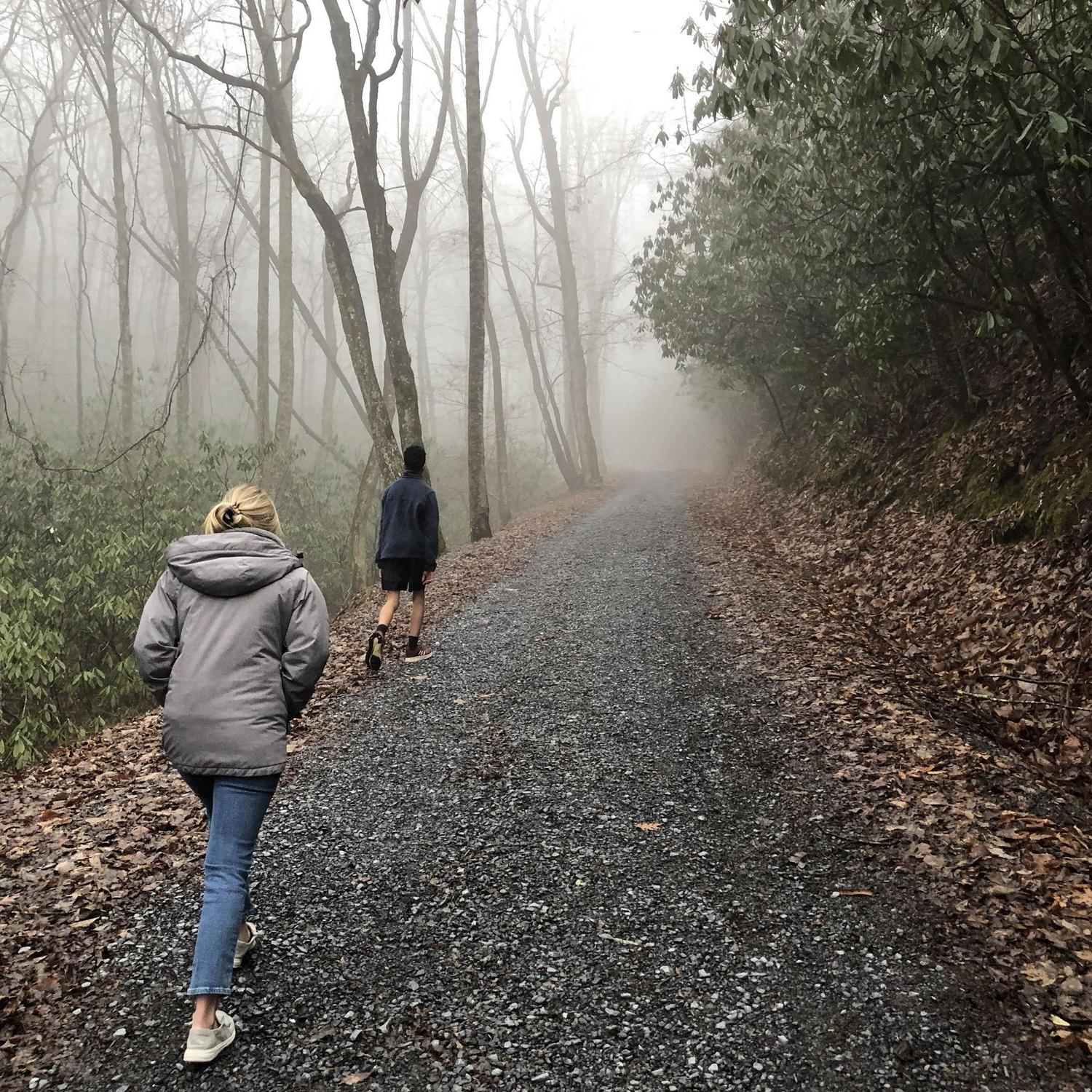 Buffalo Mountain hike with Issac and Caroline