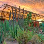 Desert Botanical Garden