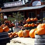Jack Creek Farms