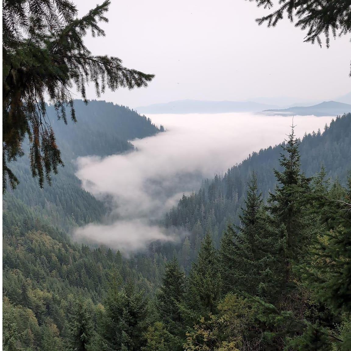 The view from where Devin proposed to Kari.