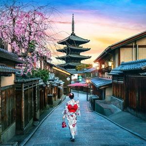 Japan Honeymoon Cash Fund