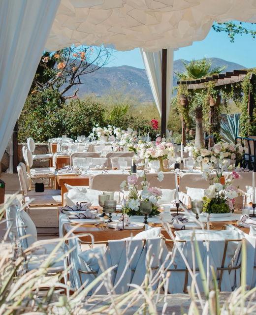 The Wedding Website of Bob Wehbe and Judith Perù