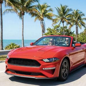 Honeymoon Rental Car