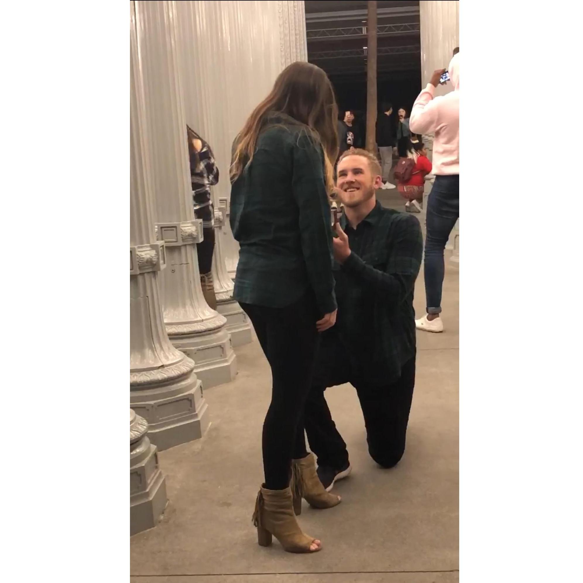The proposal: Los Angeles County Museum of Art (LACMA)