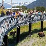 Alaska Wildlife Conservation Center