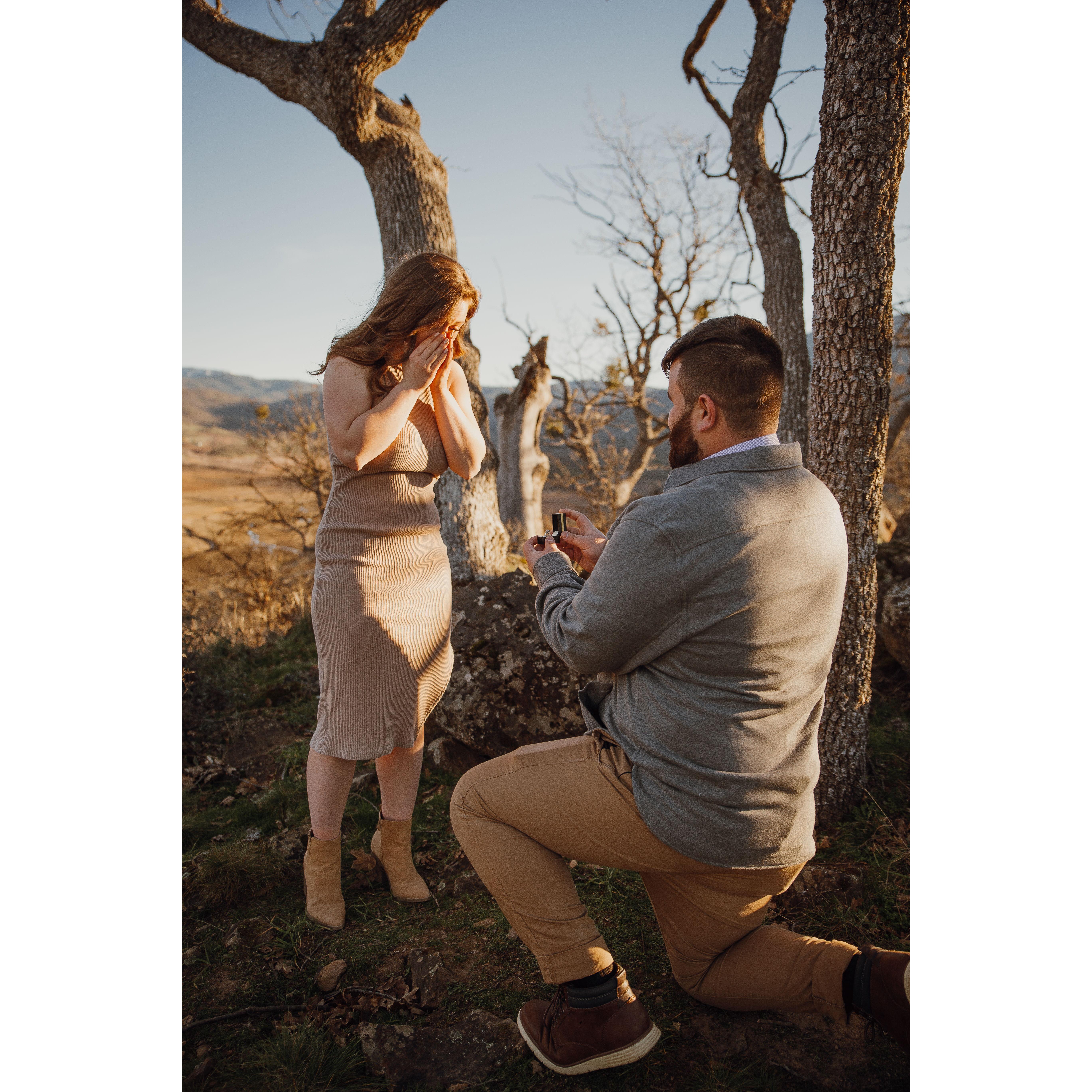 The proposal!