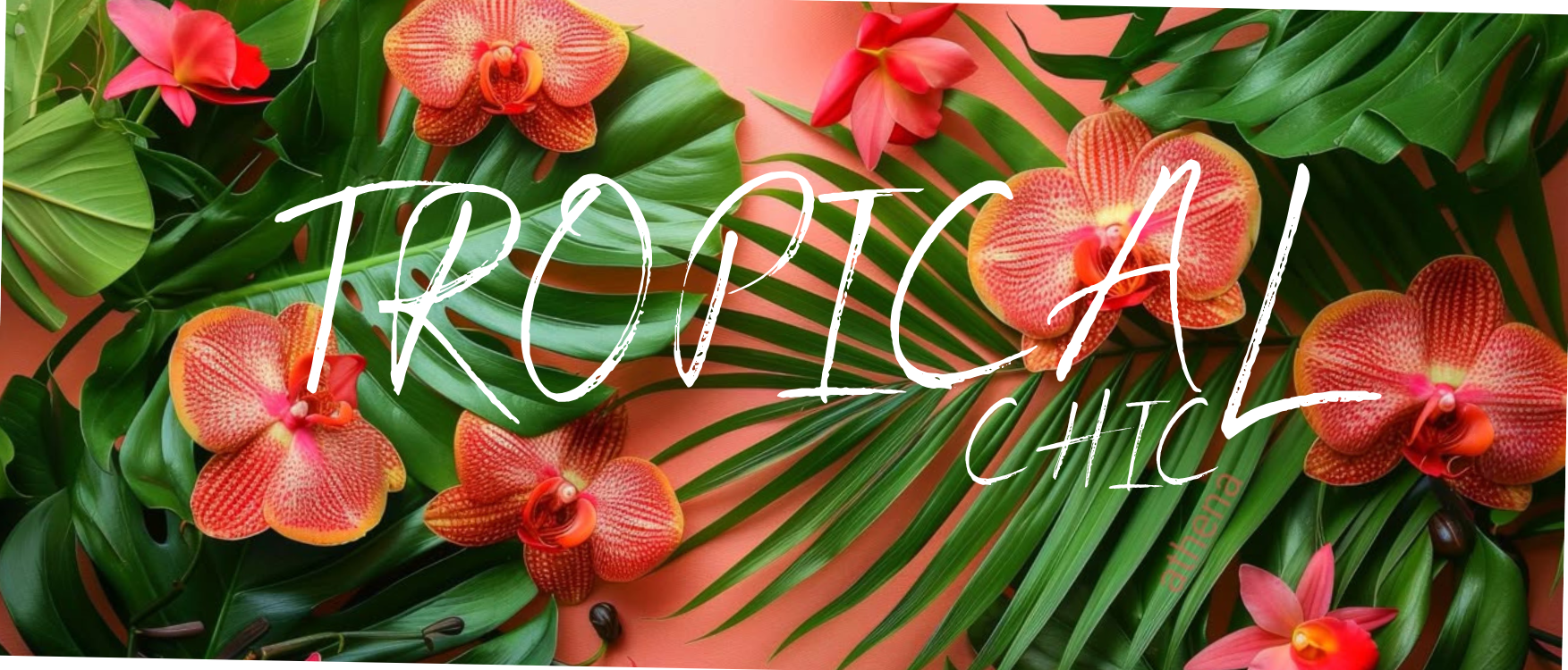 The Wedding Website of Nadine Smuts and Daniel Chadinha