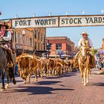 Fort Worth Stockyards Station