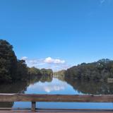 Lake Fausse Pointe State Park