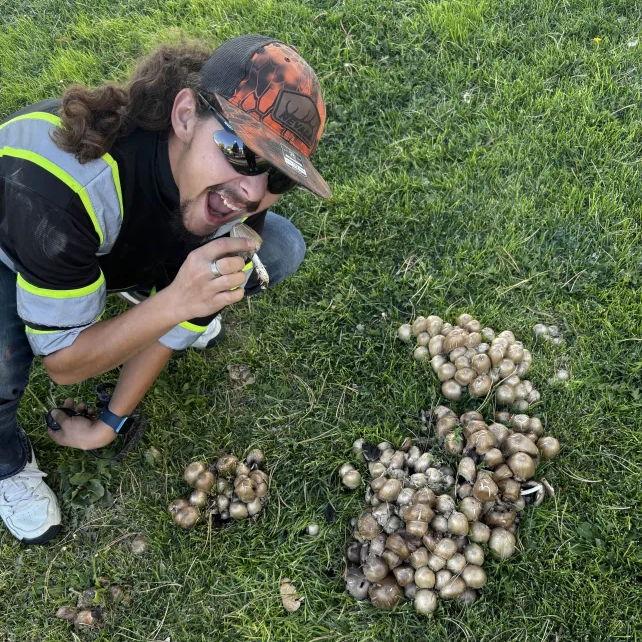 Finding very suspicious mushrooms..
