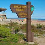 Bradford Beach