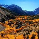 Drive the scenic Tioga Pass