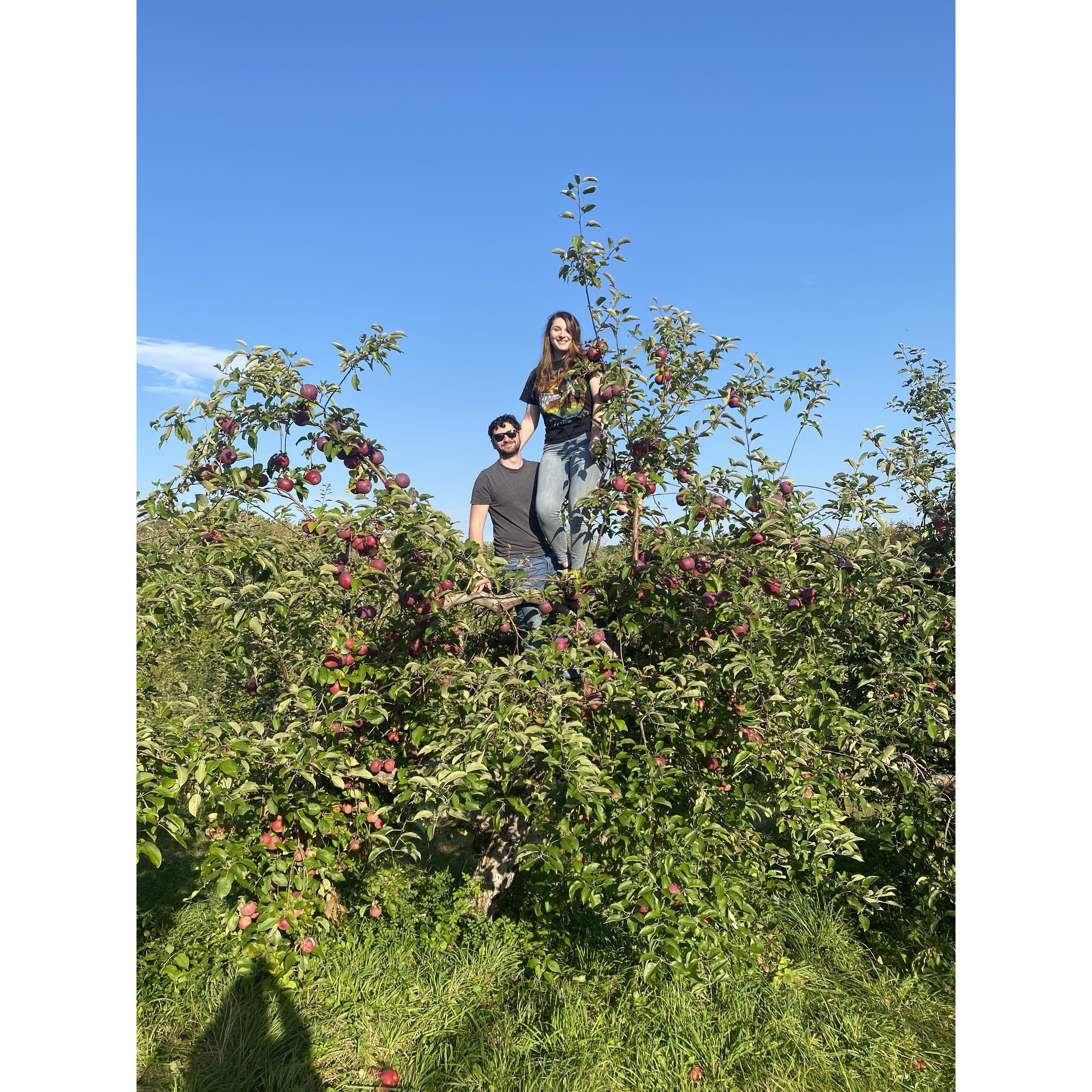 Apple Picking with friends