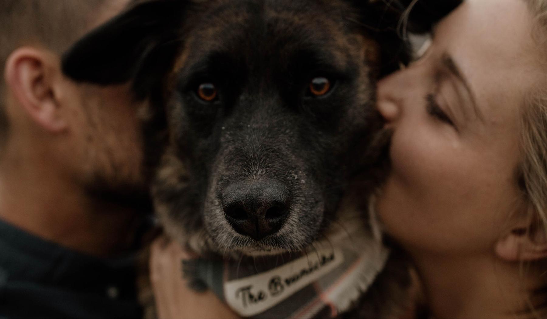 ccfd80c7-d0eb-4213-9cc2-77e0673ed5a1