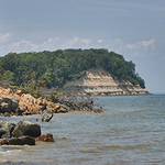 Calvert Cliffs State Park