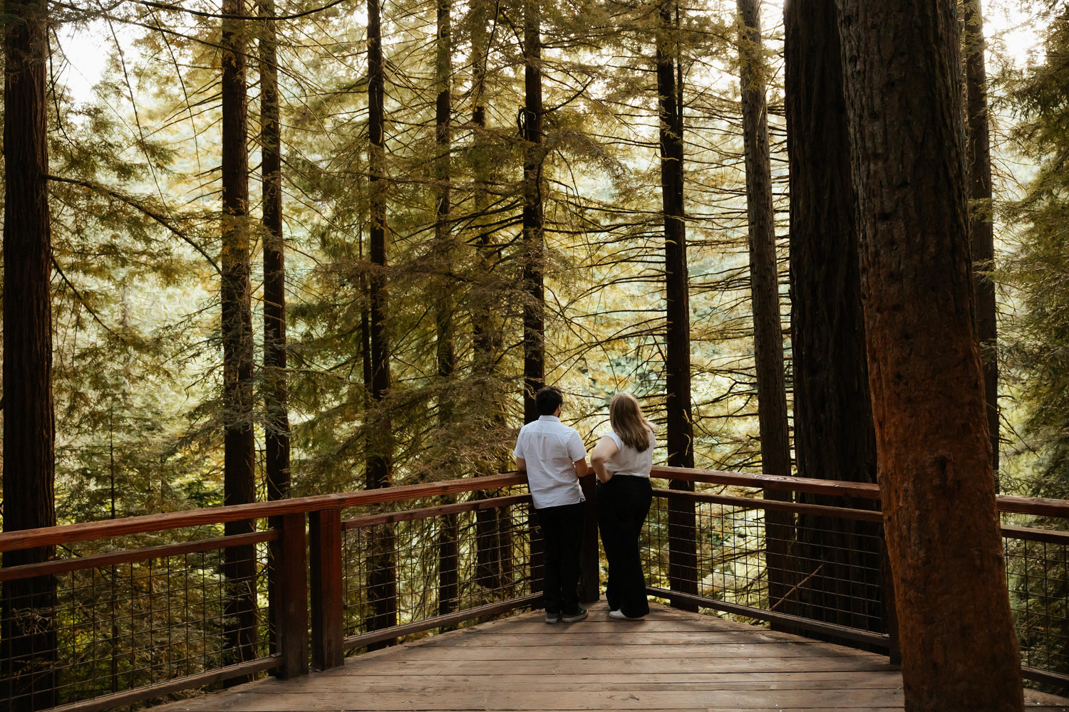 The Wedding Website of Liv Geisler-Wagner and Sean Martinez