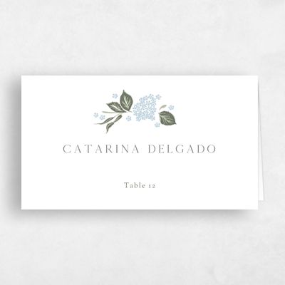 Baby Blue Wedding Place Card - Colette