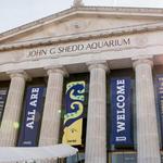 Shedd Aquarium