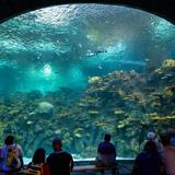 Seattle Aquarium