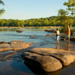 James River Park Pony Pasture